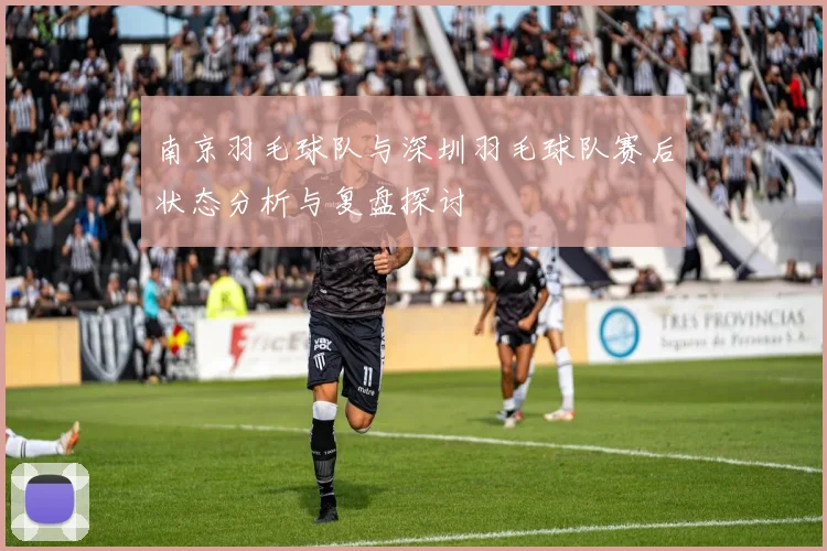 南京羽毛球队与深圳羽毛球队赛后状态分析与复盘探讨