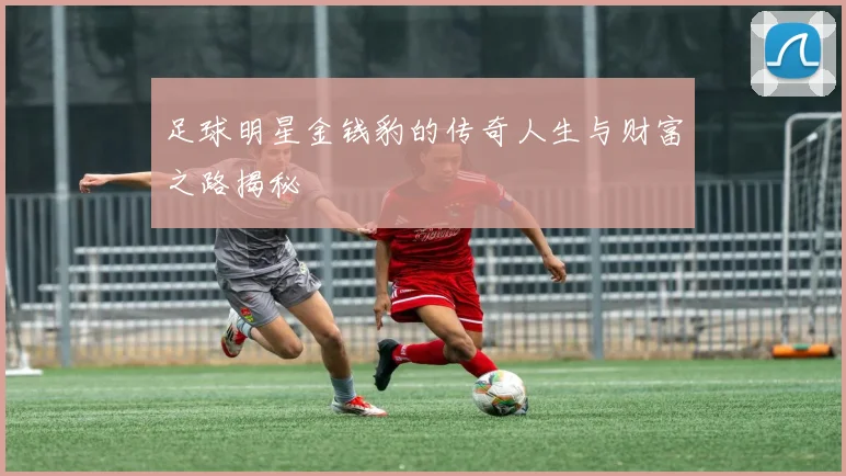 足球明星金钱豹的传奇人生与财富之路揭秘