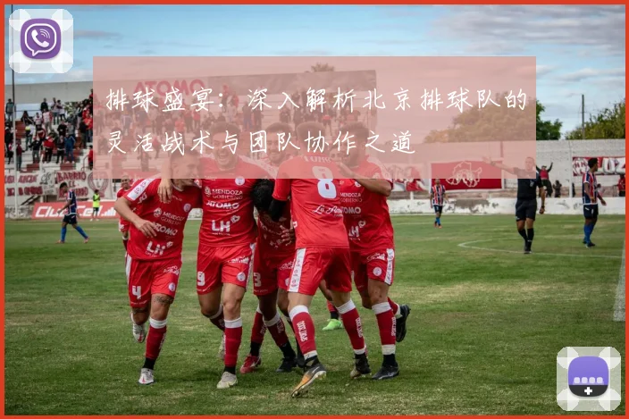 排球盛宴：深入解析北京排球队的灵活战术与团队协作之道