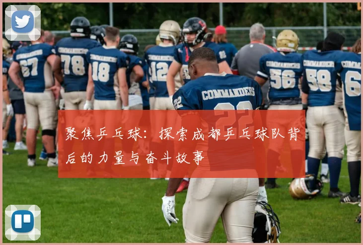 聚焦乒乓球：探索成都乒乓球队背后的力量与奋斗故事