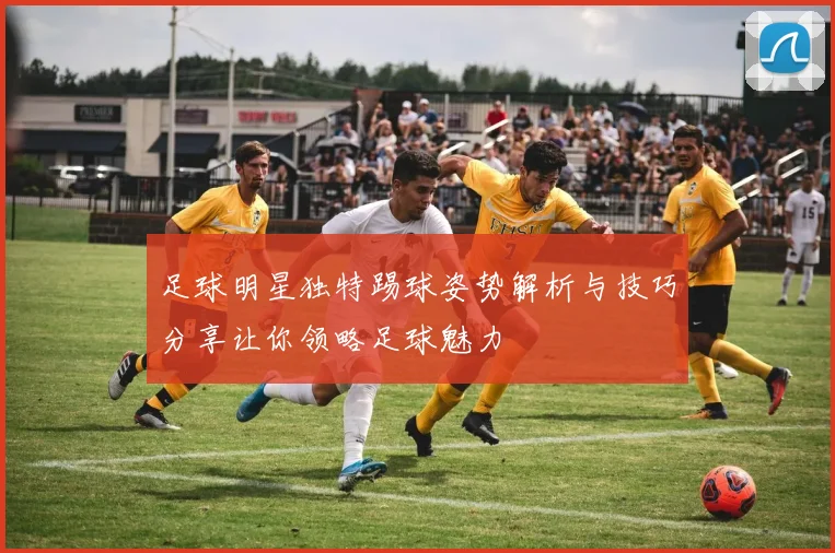 足球明星独特踢球姿势解析与技巧分享让你领略足球魅力