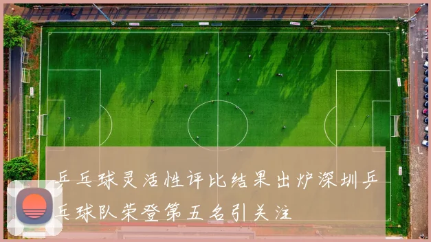 乒乓球灵活性评比结果出炉深圳乒乓球队荣登第五名引关注