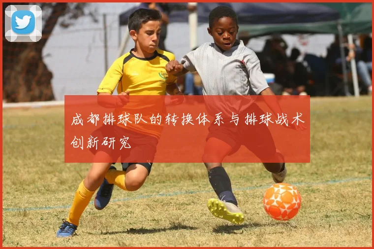 成都排球队的转换体系与排球战术创新研究