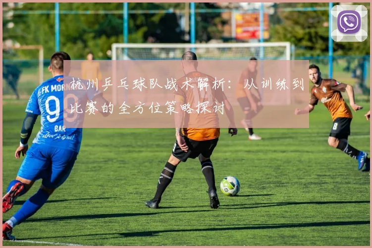 杭州乒乓球队战术解析：从训练到比赛的全方位策略探讨