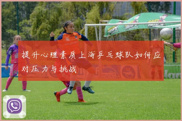 提升心理素质上海乒乓球队如何应对压力与挑战