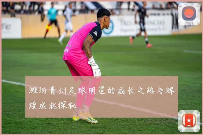 潍坊青州足球明星的成长之路与辉煌成就探秘