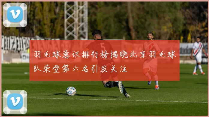 羽毛球意识排行榜揭晓北京羽毛球队荣登第六名引发关注