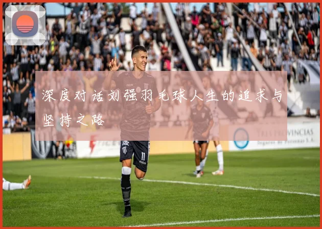 深度对话刘强羽毛球人生的追求与坚持之路