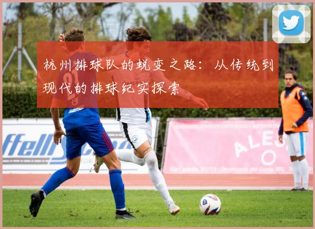 杭州排球队的蜕变之路：从传统到现代的排球纪实探索