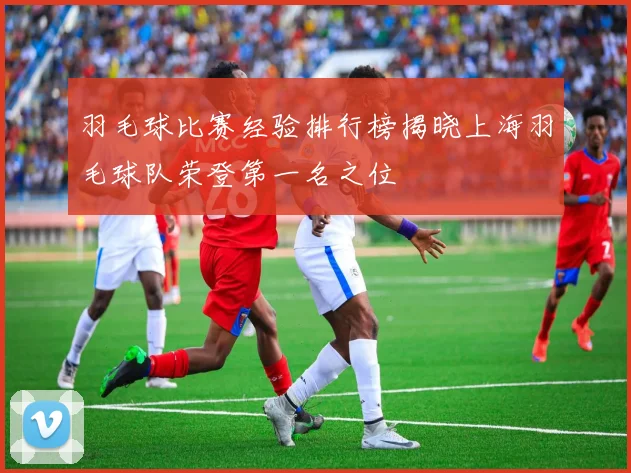 羽毛球比赛经验排行榜揭晓上海羽毛球队荣登第一名之位