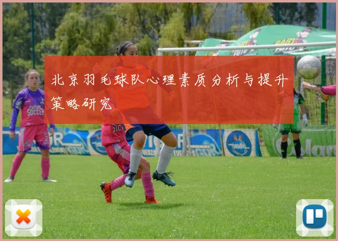 北京羽毛球队心理素质分析与提升策略研究