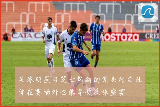 足球明星与芝士热狗的完美结合让你在赛场外也能享受美味盛宴