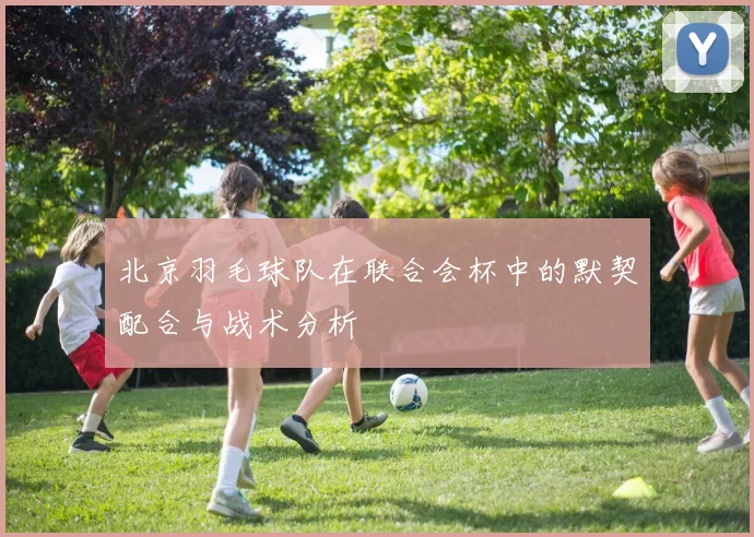北京羽毛球队在联合会杯中的默契配合与战术分析