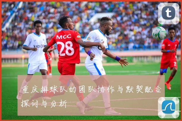 重庆排球队的团队协作与默契配合探讨与分析