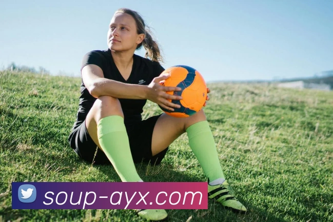 爱游戏平台生态图